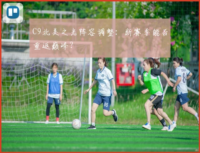 C9北美之光阵容调整:新赛季能否重返巅峰?