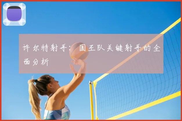 许尔特射手：国王队关键射手的全面分析