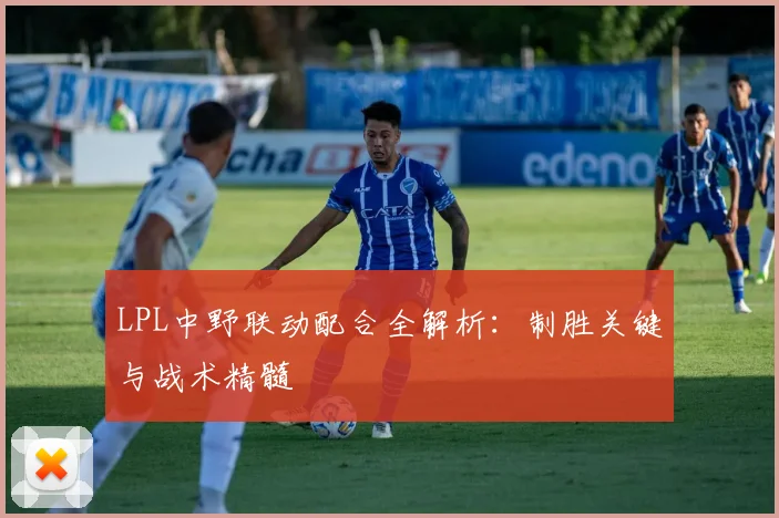 LPL中野联动配合全解析：制胜关键与战术精髓