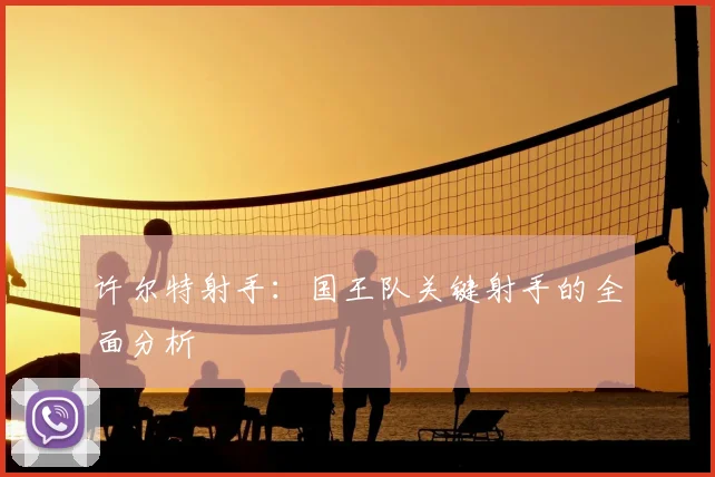 许尔特射手：国王队关键射手的全面分析